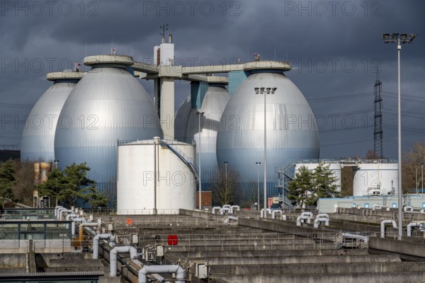 Digesters and aeration tanks, Emschergenossenschaft sewage treatment plant in the Weilheimer Mark in Bottrop, North Rhine-Westphalia, Germany, Europe