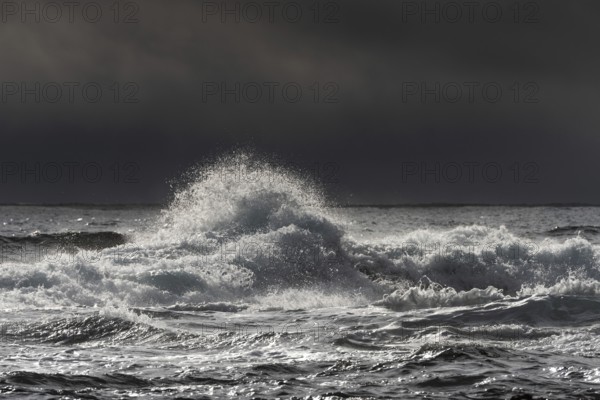 Surf, Wave, Reykjarfjörður, Strandir, Árnes, Westfjords, Iceland, Europe