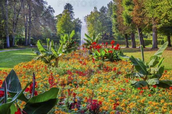Fountain avenue in the historic spa gardens, Bad Pyrmont, Emmertal, Weserbergland, Oranierroute, Lower Saxony, Germany, Europe