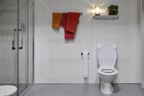 Toilet, shower door and bath towels