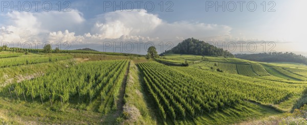 Winery in a panoramic landscape in stormy weather. Ihringen, Kaiserstuhl, Freiburg im Breisgau, Baden-Württemberg, Germany, Europe
