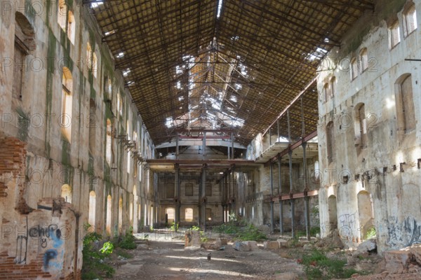 Abandoned industrial building with a large curved roof through which daylight falls, partially dilapidated walls and graffiti-covered surfaces, surrounded by rubble and wild vegetation, Azucarera San Torcuato, former sugar factory, Lost Places, Guadix, Granada province, Andalusia, Spain, Europe