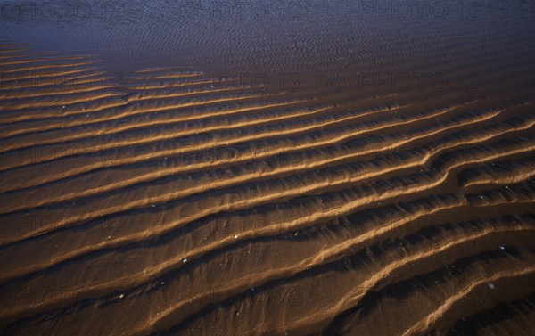 Sand ripples, wavy lines in the sand, structure, sandy beach, Meia Praia beach, Lagos, Atlantic Ocean, evening light, Algarve, Portugal, Europe