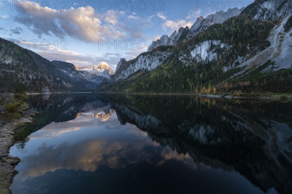 The Vordere Gosausee lake in autumn with a view of the Dachstein mountain range. The Gosaukamm on the right. Good weather, blue sky, a few clouds. Evening, golden hour. Reflection. Vorderer Gosausee, Gosau, Gosau valley, Salzkammergut, Upper Austria, Austria, Europe