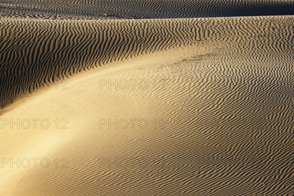 Maspalomas Dunes nature reserve, sand dunes in the evening light, Las Palmas province, Gran Canaria, Canary Islands, Spain, Europe