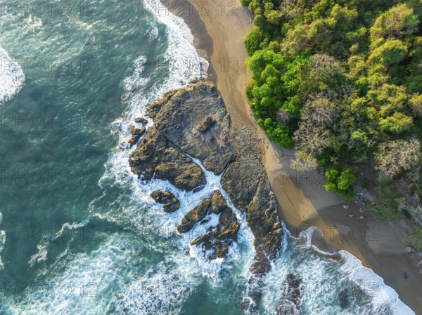 Aerial view, top-down, rainforest, sandy beach and coast with waves, Playa Cocalito, Puntarenas, Costa Rica, Central America