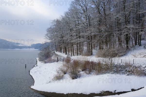 Winter landscape at the Hennesee, Hennetalsperre, Naturpark Sauerland-Rothaargebirge, Meschede, Sauerland, North Rhine-Westphalia, Germany, Europe
