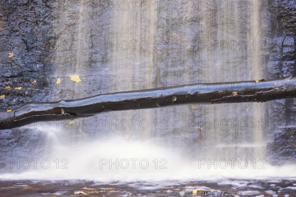 Tree log by a waterfall with falling water by a rock face
