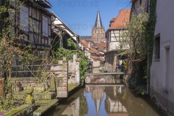Lauter-Viertel le Schlupf with the tower of the church of St Peter and Paul, Wissembourg, Alsace, France, Europe