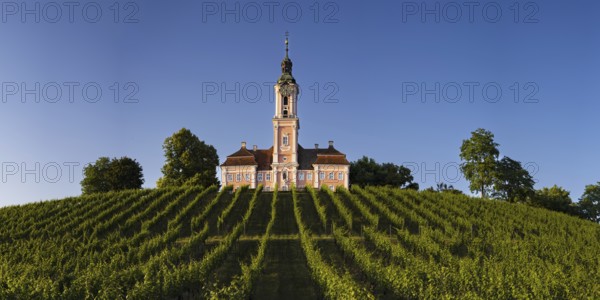 Vineyards, Birnau pilgrimage church, baroque church, exterior view, Uhldingen-Mühlhofen on Lake Constance, Baden-Württemberg, Germany, Europe