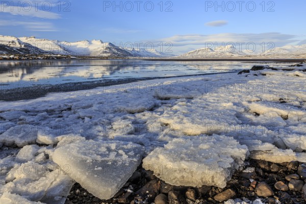 Ice floes on the shore of a fjord in front of snowy mountains, sunny, Breiddalsvik, East Fjords, Iceland, Europe