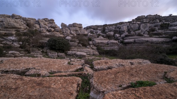 Bizarre limestone rock formations, El Torcal nature reserve, Torcal de Antequera, Malaga province, Andalusia, Spain, Europe