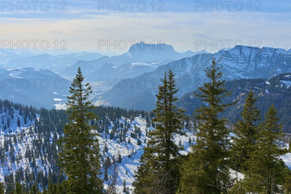 Snow-covered mountain landscape with fir trees in the foreground, Steinplatte, Waidring, Tyrol, Austria, Europe