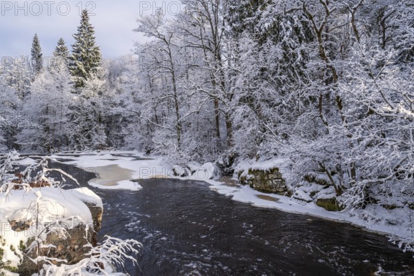 River running water in a winter forest with snow and ice a cold winter day. Sweden