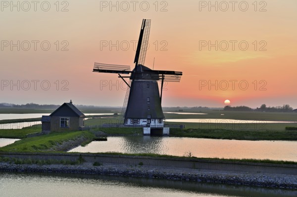 Historic windmill in the light of the setting sun, De Traanroeier, Het Noorden Molen, Texel, North Holland, Netherlands