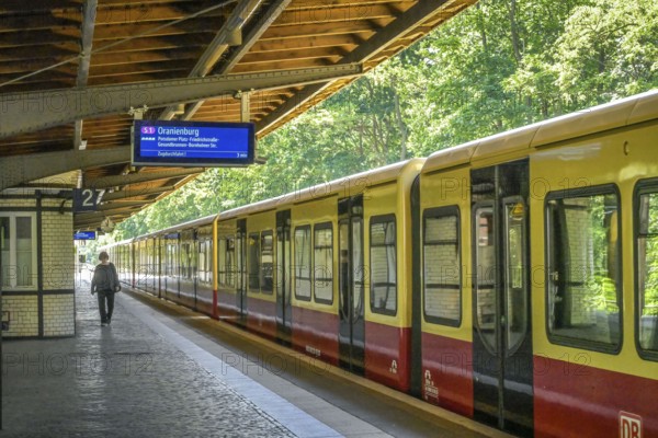 S1, S-Bahn, Mexikoplatz, Zehlendorf, Steglitz-Zehlendorf district, Berlin, Germany, Europe