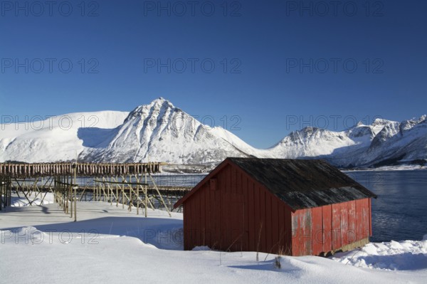 On the beach of Barstrand on the island of Gimsoymyrene, Lofoten, in Norway in winter, Norway, Scandinavia, Europe