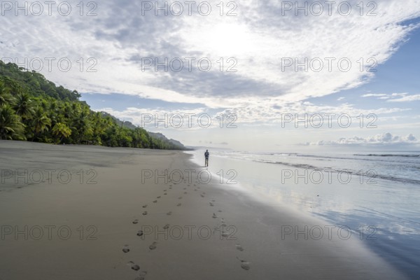 Young man walking along a sandy beach, tropical rainforest on the Pacific coast, Corcovado National Park, Osa Peninsula, Puntarena Province, Costa Rica, Central America