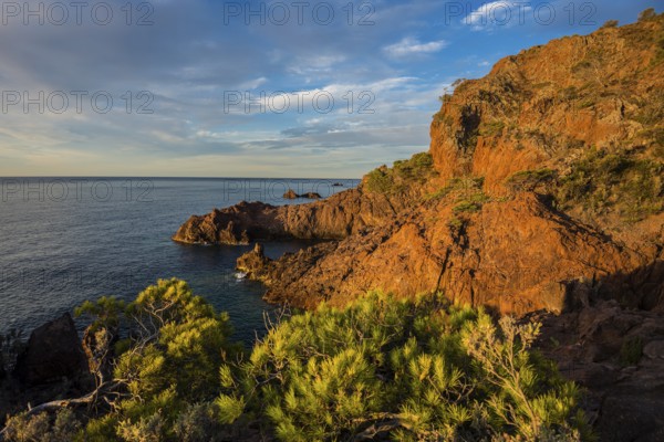 Cap du Dramont, sunrise, Massif de l'Esterel, Esterel Mountains, Département Var, Région Provence-Alpes-Côte d'Azur, France, Europe