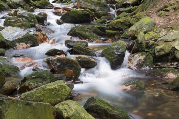 Moving water flows over moss-covered rocks in a forest, White Oppa, Bílá Opava, Bila Opava, near Karlova Studánka, Studanka, Bad Karlsbrunn, Moravskoslezský kraj, Czech Republic, Europe