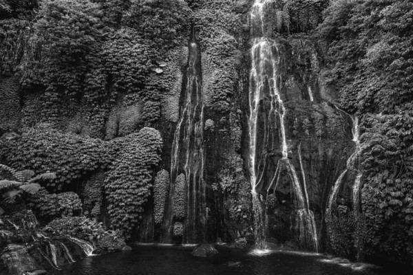 Banyumala twin waterfalls, waterfall, jungle, rainforest, water, nature, botany, holiday, paradise, nobody, black and white, monochrome, landscape, tourism, travel, Bali, Indonesia, Asia
