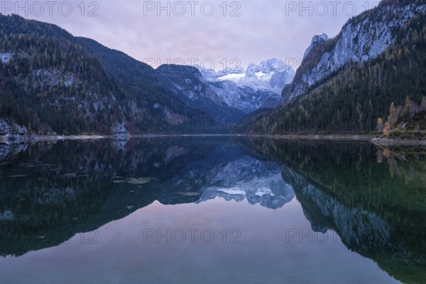 The Vordere Gosausee lake in autumn with a view of the Dachstein mountain range. The Gosaukamm on the right. Clouds in the sky, sunrise. Vorderer Gosausee, Gosau, Gosau valley, Salzkammergut, Upper Austria, Austria, Europe