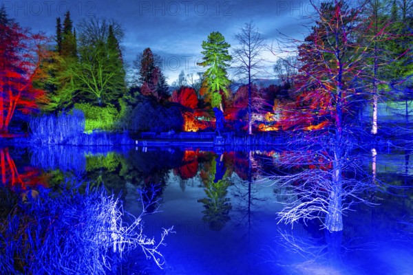 Parkleuchten, event in winter, in the Grugapark in Essen, many different light installations, across the park, attract many thousands of visitors, North Rhine-Westphalia, Germany, Europe