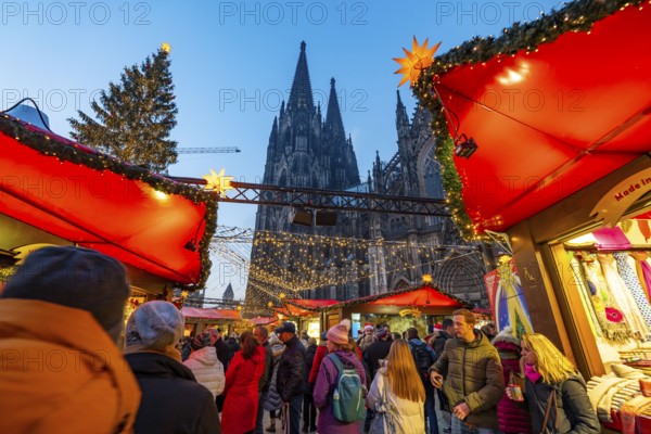Christmas market on Roncallli Square, right next to Cologne Cathedral, in the historic centre of Cologne, North Rhine-Westphalia, Germany, Europe