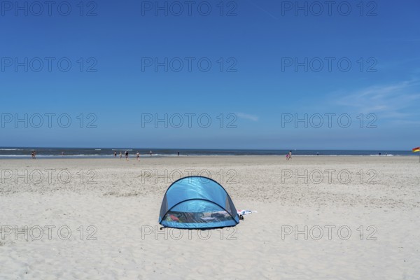 North Sea island Langeoog, early summer, beach shell, Lower Saxony, Germany, Europe