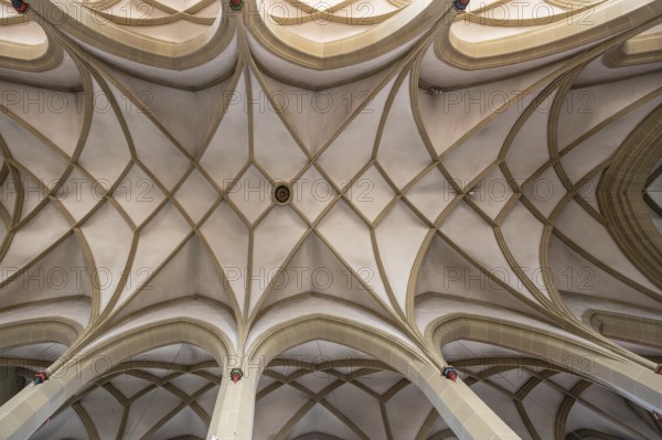 Cross vault of the late Gothic St John's Church, Obere Kirchgasse, Kitzingen, Lower Franconia, Bavaria, Germany, Europe