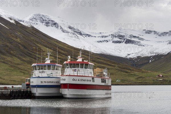 Fishing boats in the harbour, Siglufjörður, Norðurland eystra, Iceland, Europe