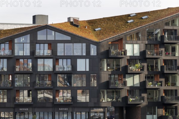 Contemporary architecture, Krøyers Square residential complex, inspired by historic warehouses, Nordic Ecolabel certified, Christianshavn district, Copenhagen, Denmark, Europe