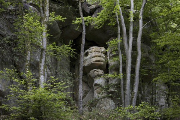 Sandstone rock formation in Berdorf, Little Switzerland / Mullerthal, Grand Duchy of Luxembourg