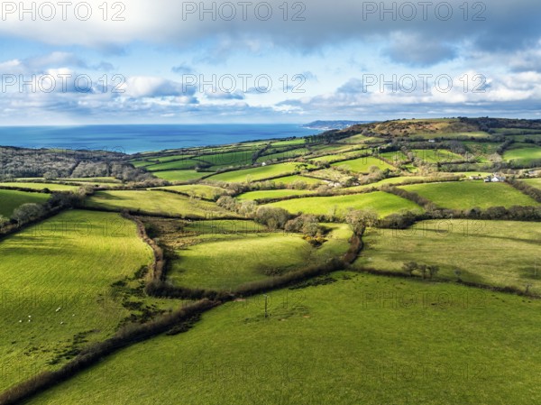 Farms over Morcombelake Village from a drone, Bridport, Dorset, England, United Kingdom, Europe