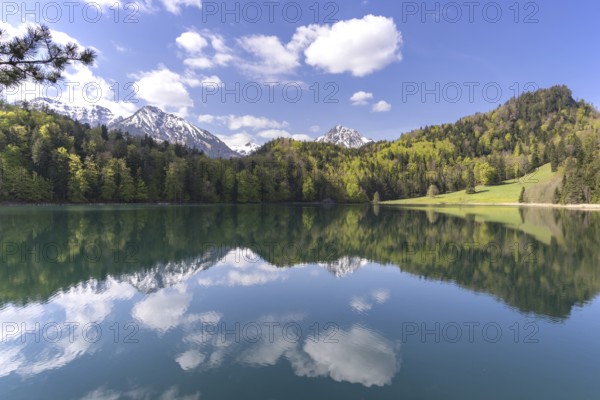 Alatsee in spring, Ostallgäu, Allgäu, Swabia, Bavaria, Germany, Europe