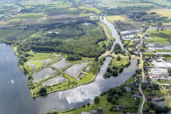 Aerial view, nature reserve, Die Reit, Reitbrook, Marschlande, Dove Elbe, Gose Elbe. Hamburg, Germany, Europe