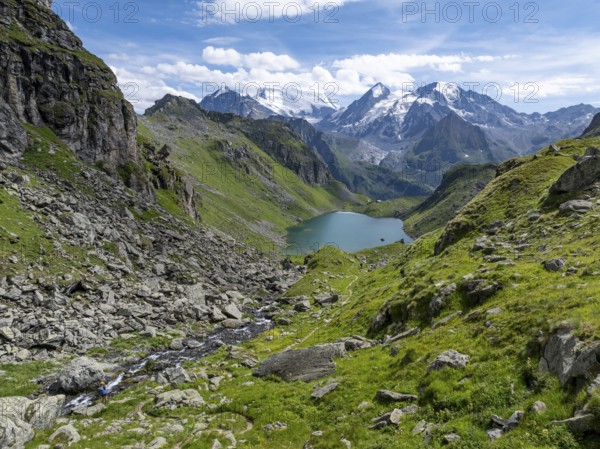 Mountain stream and mountain lake Lac de Louvie with glaciated summit of the Grand Combin, Val de Bagnes, Valais, Switzerland, Europe