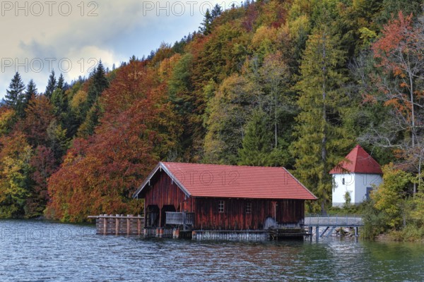 A wooden hut with a red roof lies on the lakeshore, surrounded by autumn-coloured trees, Walchensee, Jachenau, Bavaria, Germany, Europe