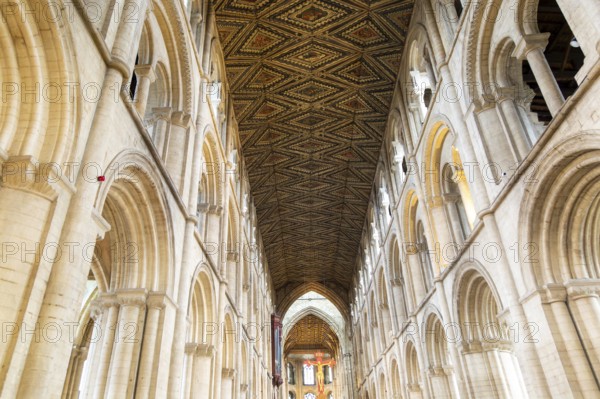 Interior of cathedral church, Peterborough, Cambridgeshire, England, UK looking up at ceiling and sculpture of Jesus Christ on Cross