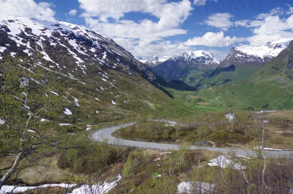 A winding road runs through a green valley between snow-capped mountains under a blue sky with white clouds, Fjell, Geiranger, spring, Norway, Europe