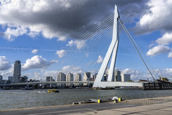 Skyline on the Nieuwe Maas, Erasmus Bridge, skyscrapers, water taxi, Rotterdam, Netherlands