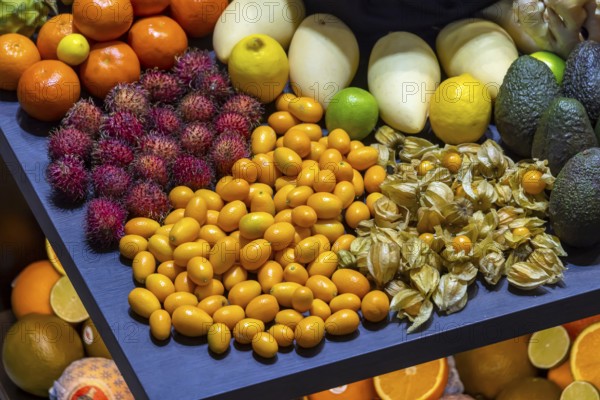 Exotic fruits, lychee, jackfruit, dragon fruit, mango and citrus fruits presented on a table, Germany, Europe