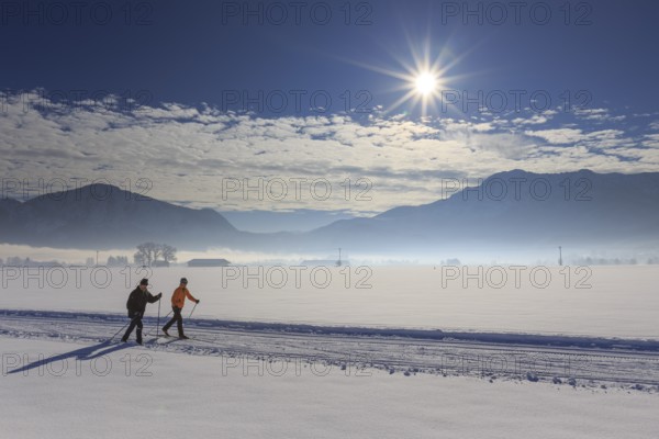 Cross-country skier, woman and man, adult, on cross-country trail in front of mountains, snow, winter, sunny, Schlehdorf, view of Jochberg and Herzogstand, Alpine foothills, Upper Bavaria, Bavaria, Germany, Europe