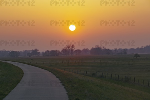 A country lane at sunset with soft colours and a peaceful rural feeling, Elbe dyke, Damnatz, Elbe cycle path, Lower Saxony, Germany, Europe
