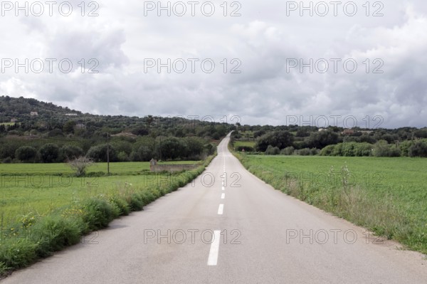 Road, Majorca, landscape, straight ahead, lonely, asphalt, road without people and vehicles somewhere in the south-east of Majorca