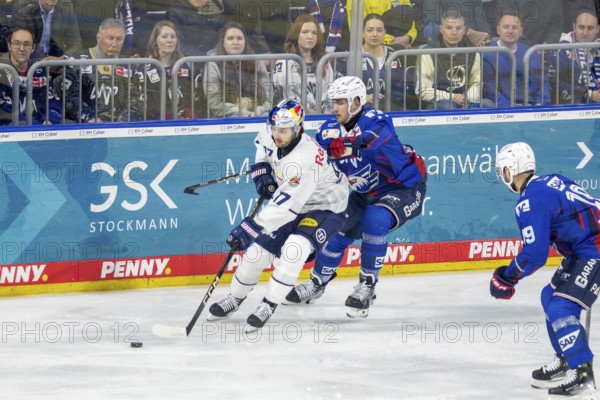 DEL, German Ice Hockey League season 2024/25, Matchday 28: Adler Mannheim vs Red Bull Munich