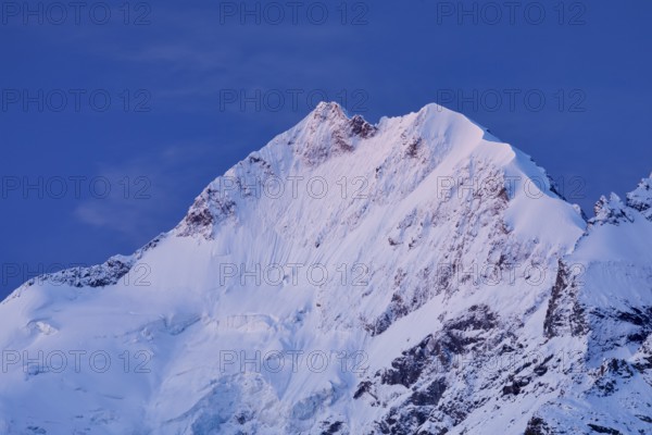 Piz Bernina and Biancograt at dawn, Engadin in the canton of Graubünden, Switzerland, Europe