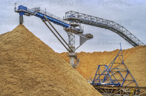 Stockpiles of wood chips for the paper mill