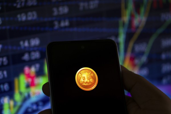 Hamster Kombat telegram bot on smartphone screen. Hamster Kombat is a viral Telegram based crypto game for earn HMSTR tokens by managing a virtual crypto exchange