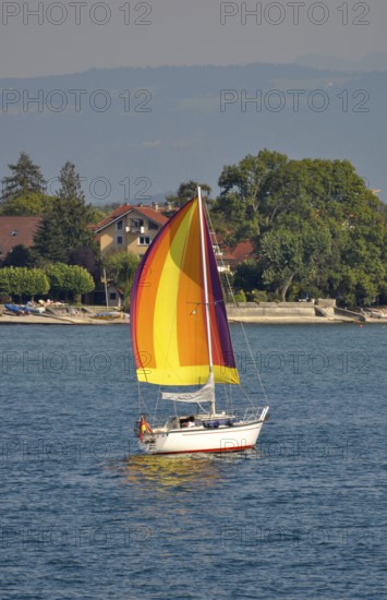 On Lake Constance, sailing boat in motion